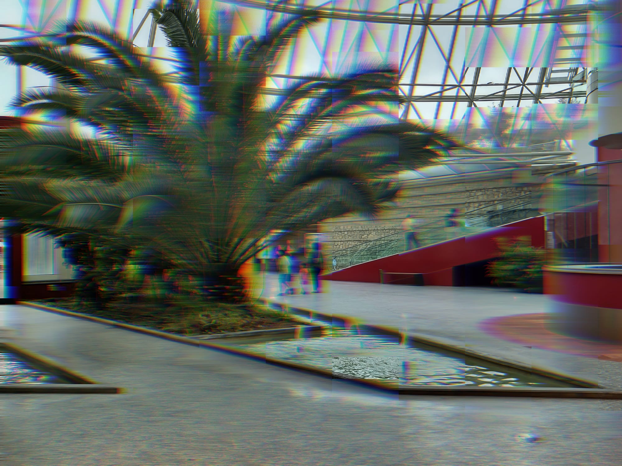 La plaza coperta di un centro commerciale con palme e una vasca d'acqua.