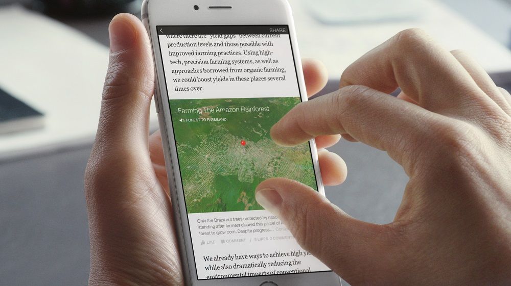 Facebook di gravità permanente