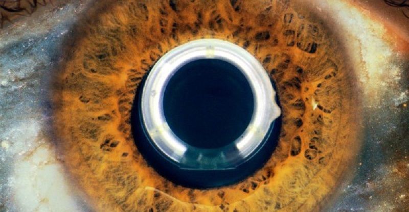 Dall'amniotica cameretta alle complessità dell'universo: recensione ad Aurora