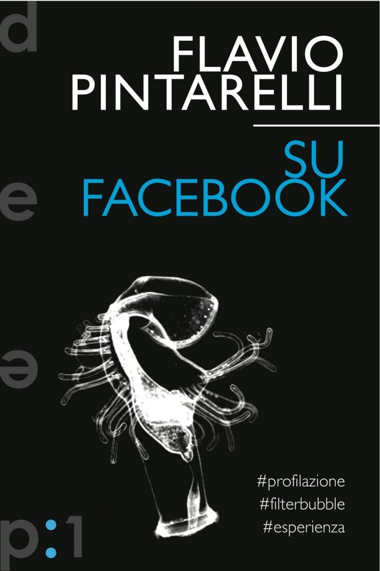 Giorgio Vasta a proposito di Su Facebook