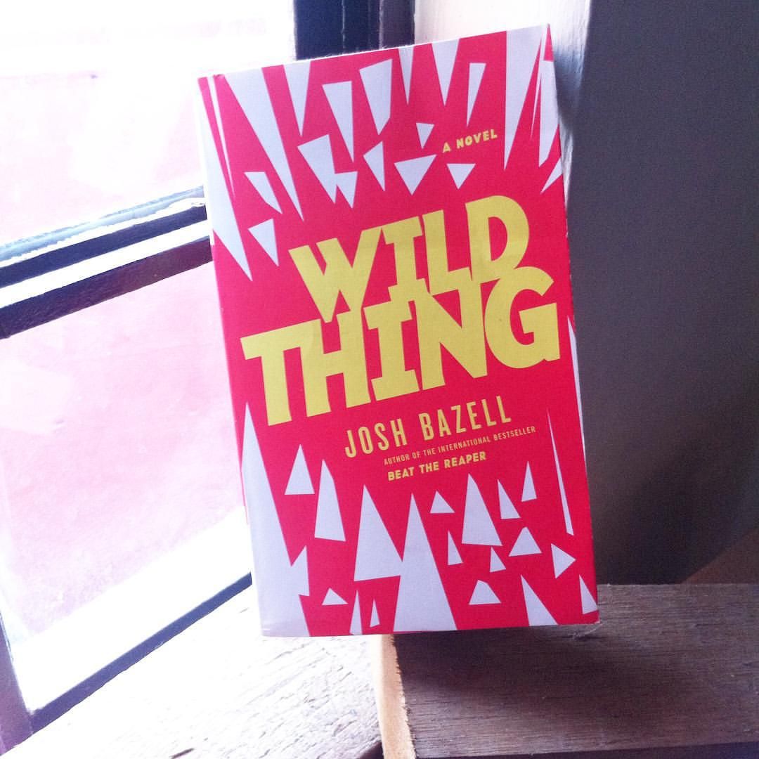 A tuo rischio e pericolo di Josh Bazell