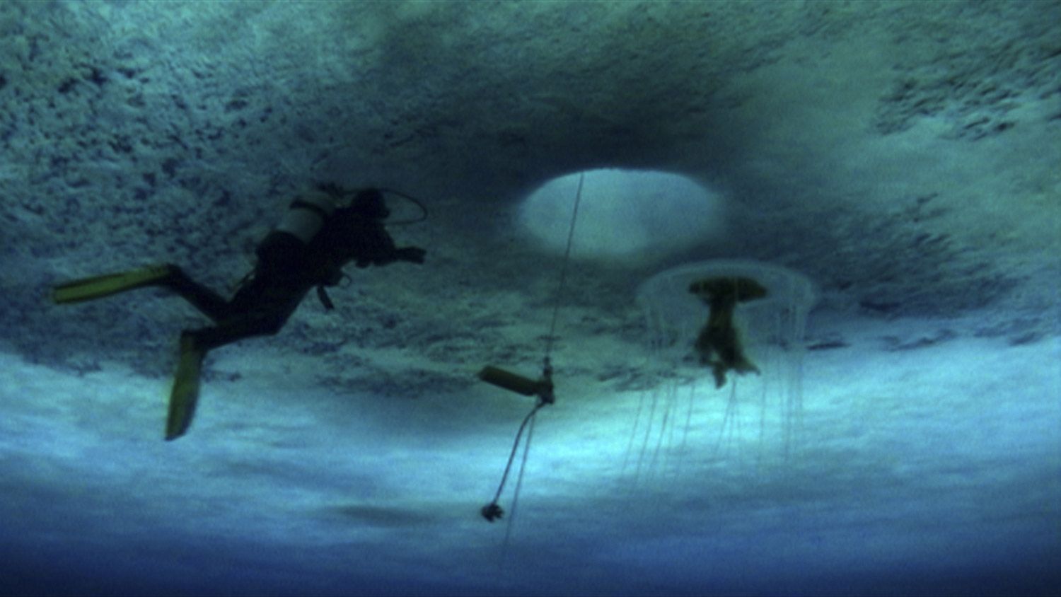 Cronache della Metropoli - Calendario di Marzo