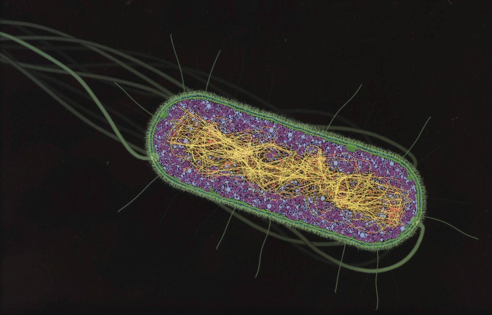 "Capire la pandemia attraverso le immagini" su L'Indiscreto