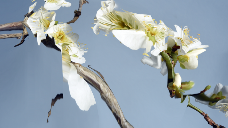 "AI&Conflicts: diagrammi dell’intelligenza artificiale" su Eccetera Magazine