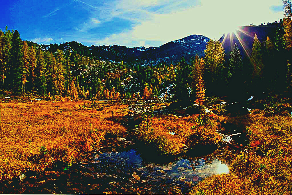 Un paseaggio montano autunnale di prati, boschi, e cime con un rivo al centro. 