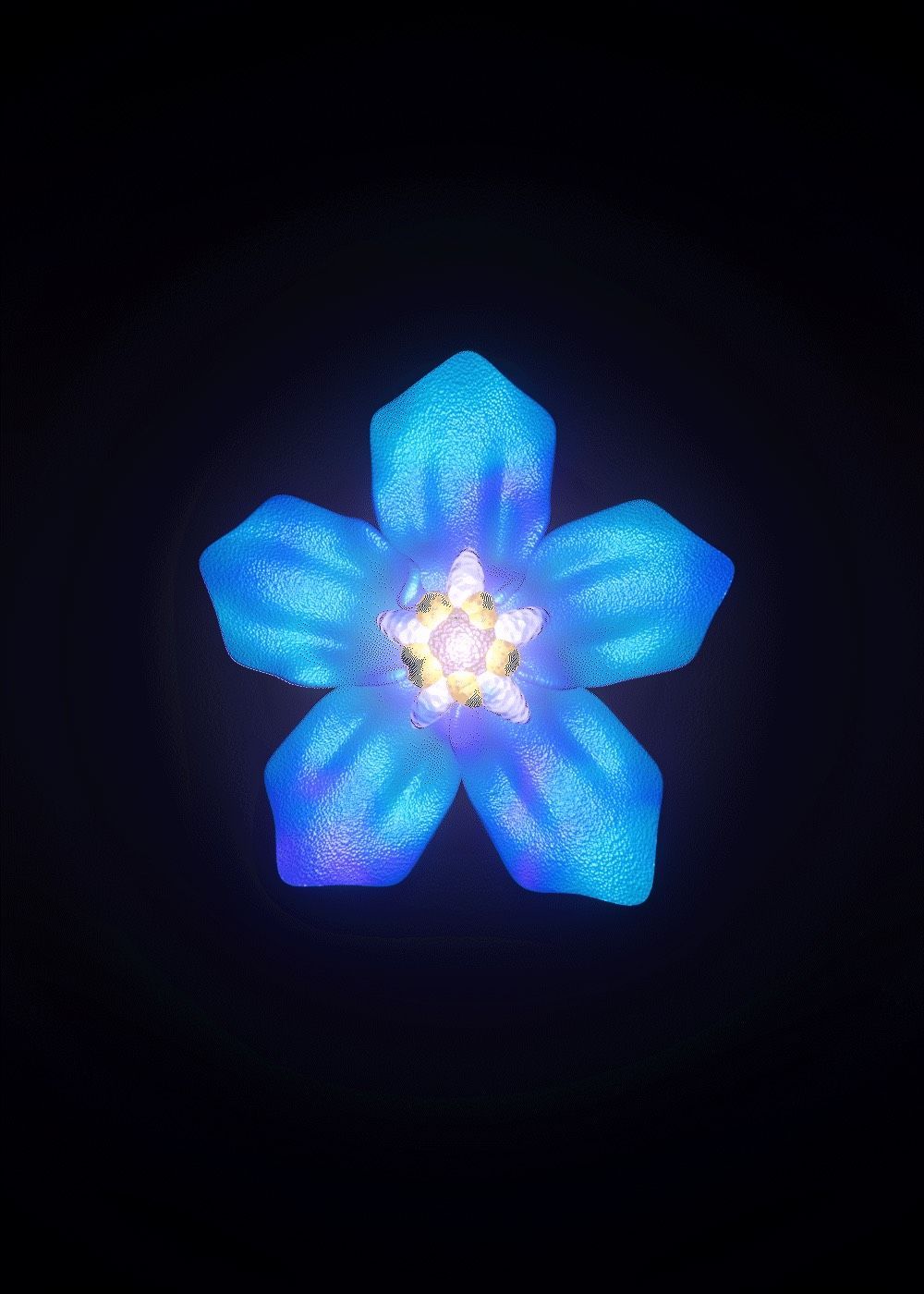 Forget_me_not