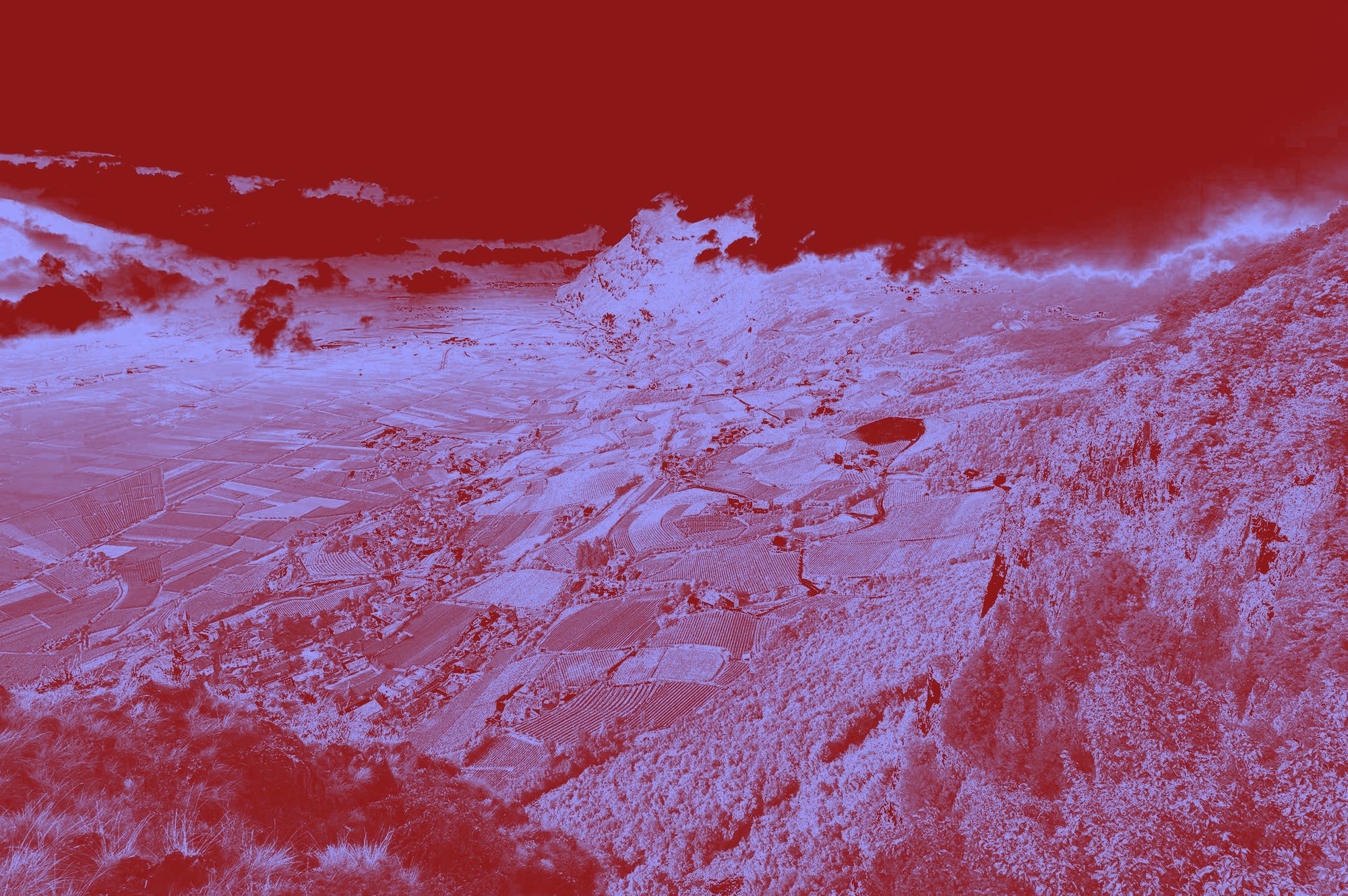 Paesaggio della Bassa Atesina