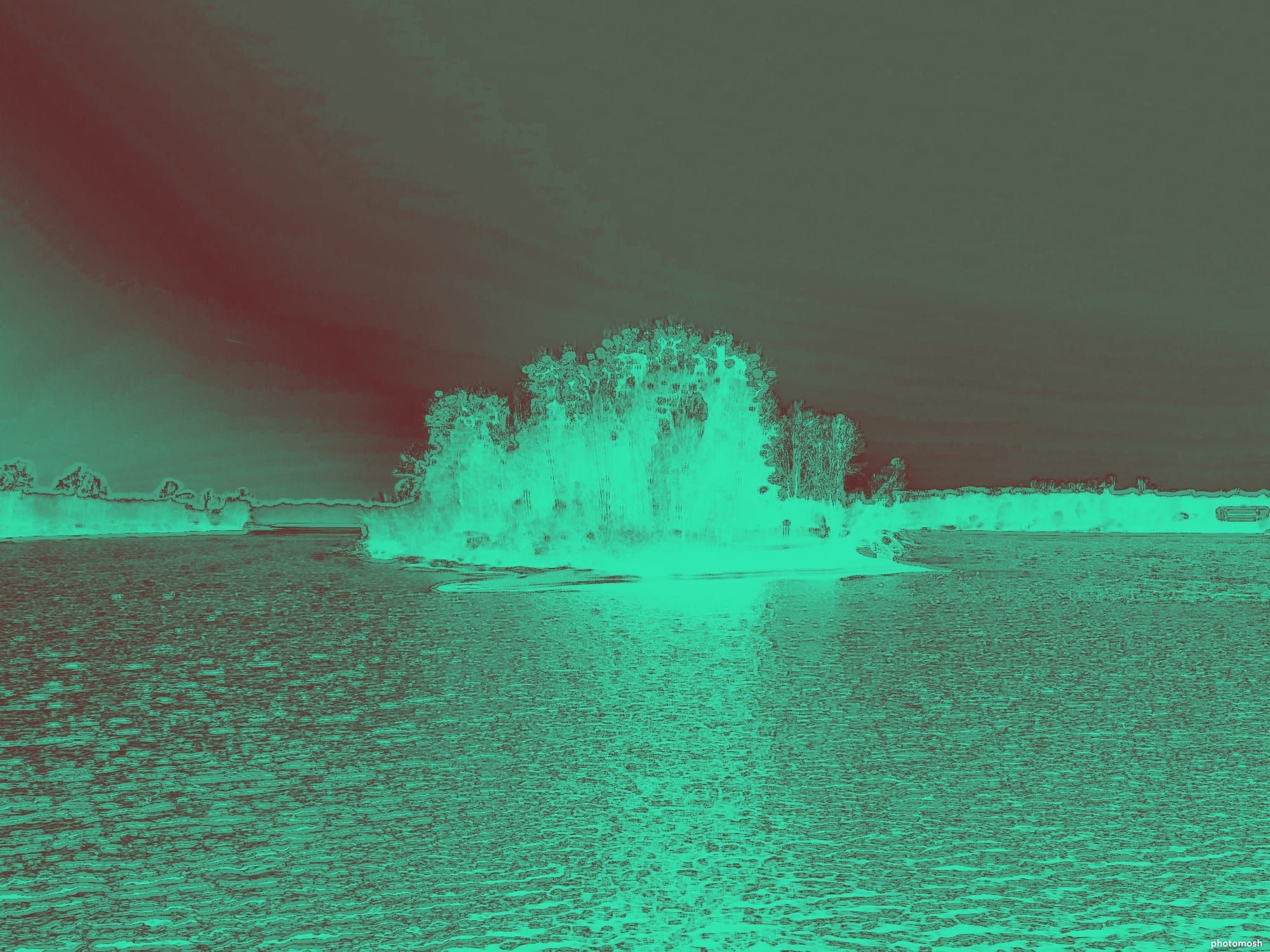 Un isola al centro del fiume Danubio.
