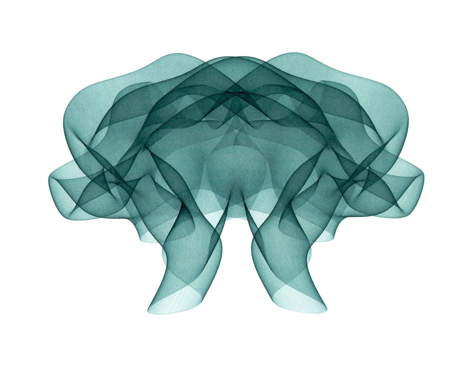 Un disegno che ricorda una medusa.