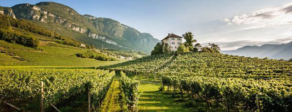 "Diario di uno scavo sotto la perfezione dell’Alto Adige" su Internazionale