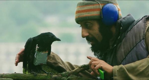Four Lions: pop holy war