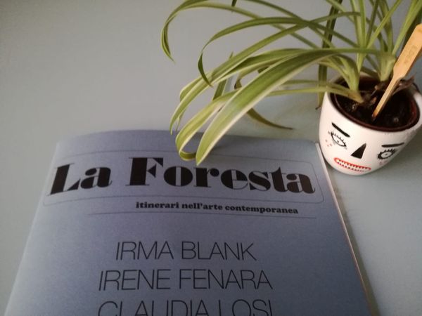 "Quali immagini dopo la pandemia?" su La Foresta