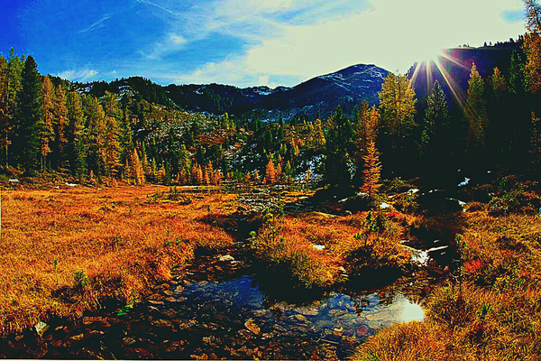 Un paseaggio montano autunnale di prati, boschi, e cime con un rivo al centro. 