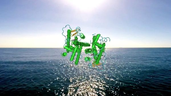 Dentro Opening the Pill - Impressioni imperfette