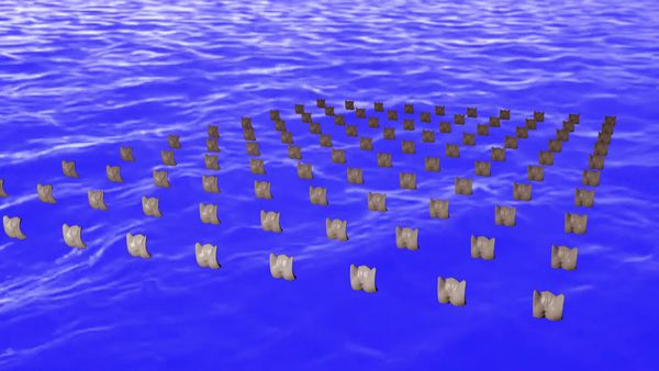 Fotogramma del video di Mary Maggic, Genital (*) Panic