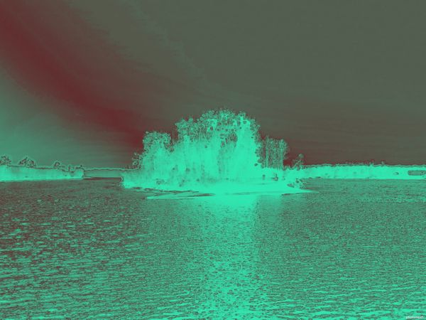 Un isola al centro del fiume Danubio.