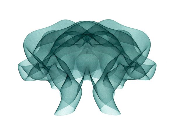 Un disegno che ricorda una medusa.