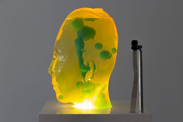 Scultura di vetro che raffigura una testa umana, illuminata dal basso.