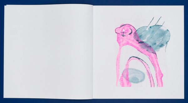 Disegno su foglio bianco.