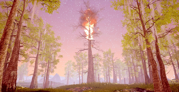 Un albero in fiamme nella foresta.