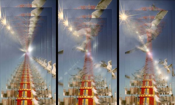 Il volo di un gabbiano davanti a un edificio.
