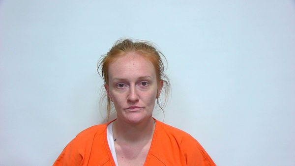 Trenton Woman Jailed for Petit Theft Among Thursday Bookings