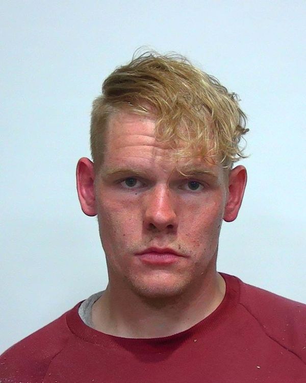 Live Oak Man Faces Grand Theft and Felony Elusion Charges in Suwannee County Arrests