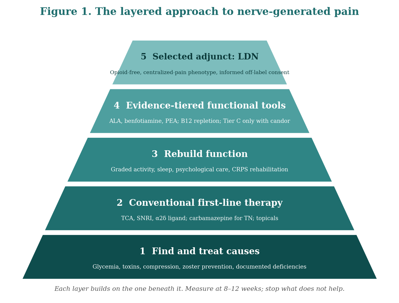 Figure 1 Layered approach to nerve-generated pain