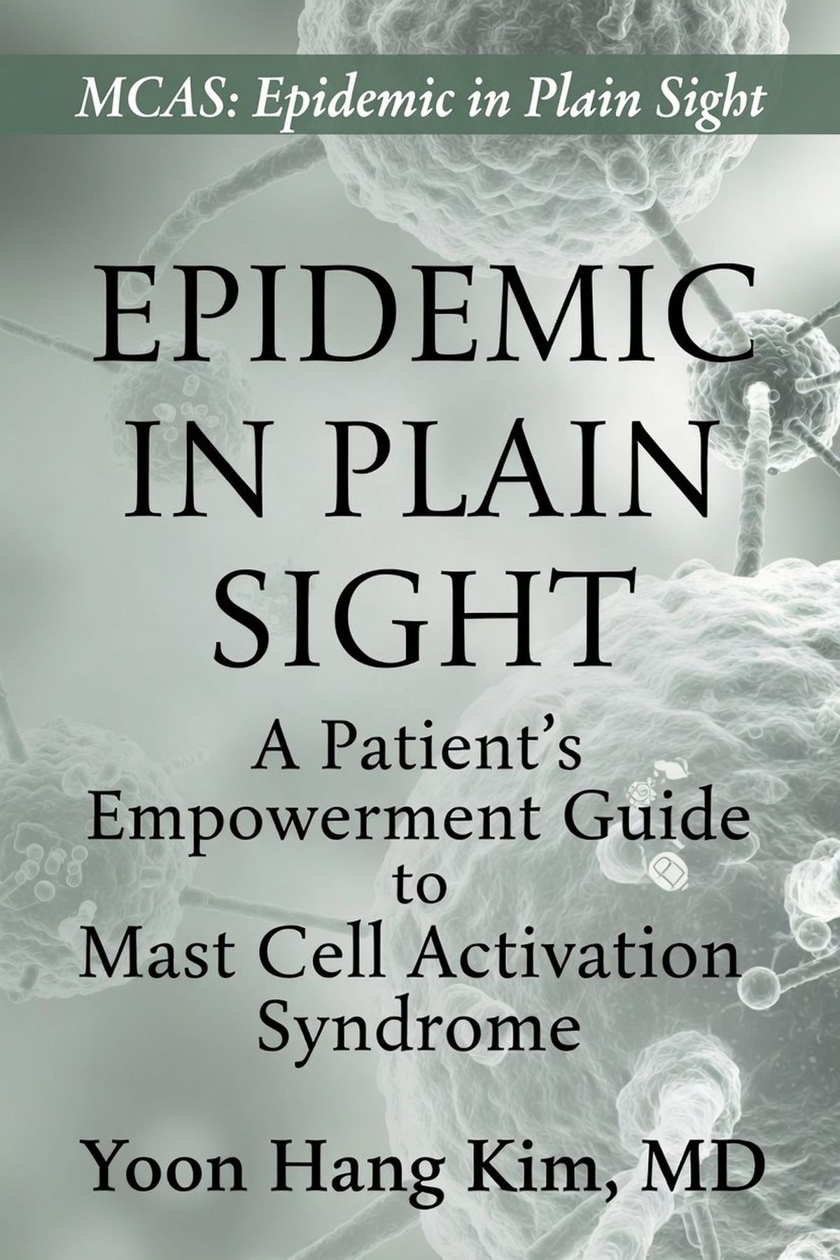 Mast Cell Activation Syndrome Book Chapter