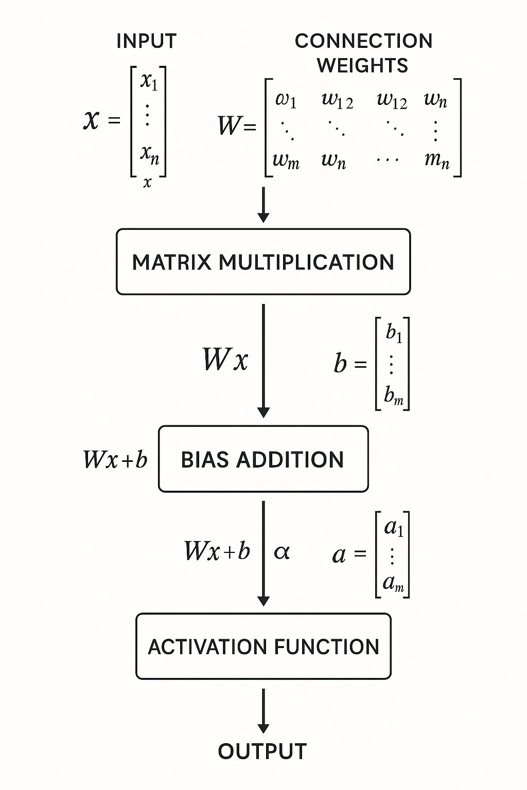 Feed forward Neural Networks