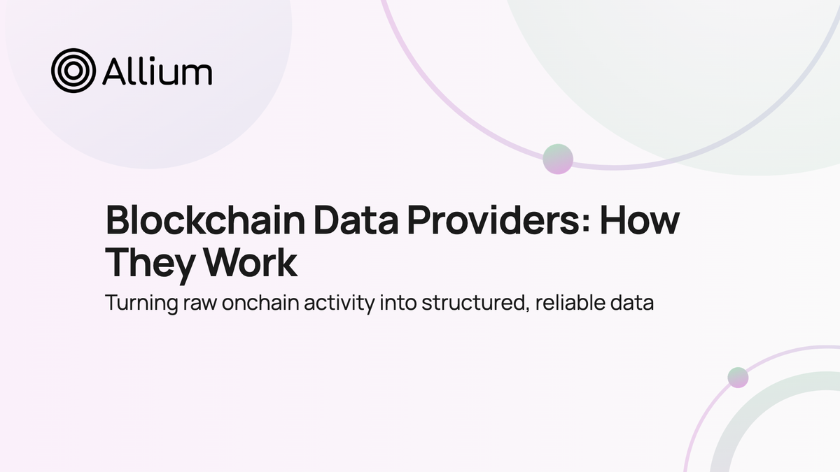 Blockchain Data Providers: How They Work