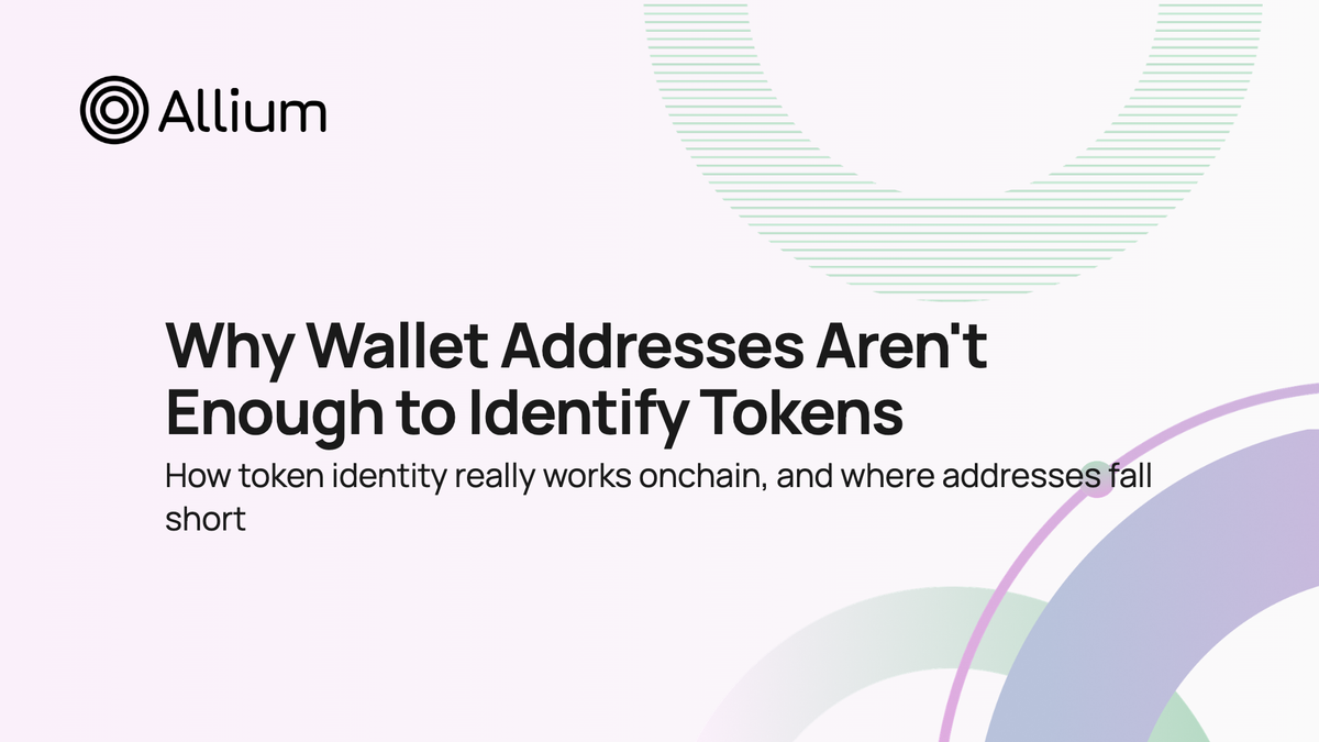 Why Wallet Addresses Aren't Enough to Identify Tokens