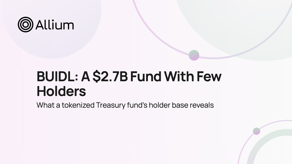 BUIDL: A $2.7B Fund With Few Holders