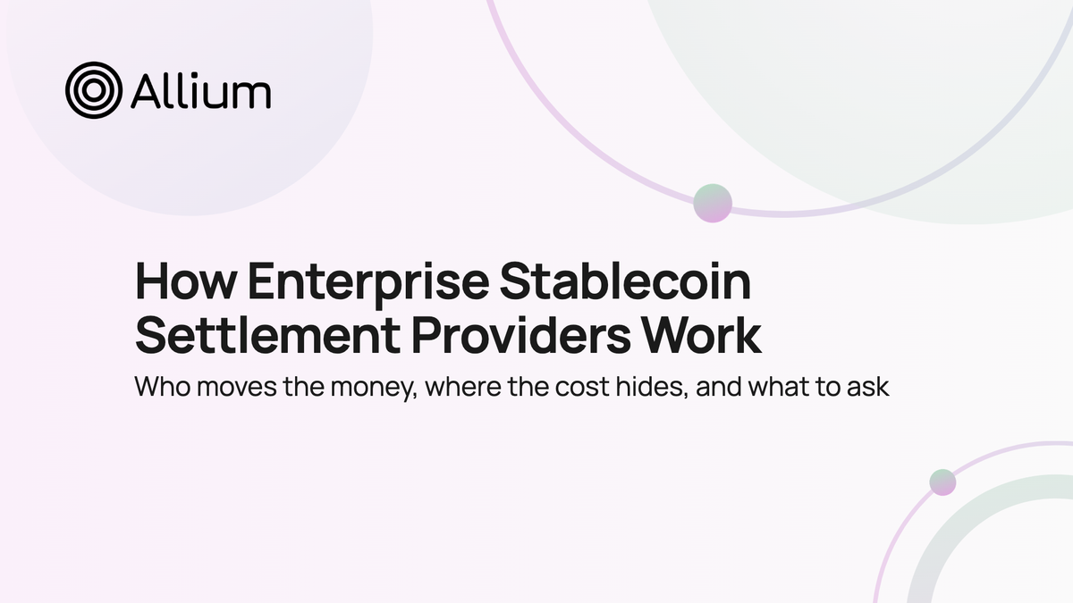 How Enterprise Stablecoin Settlement Providers Work