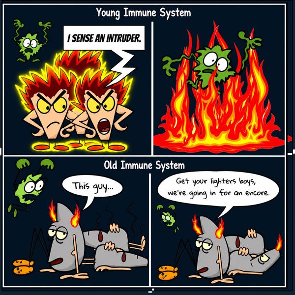Immune