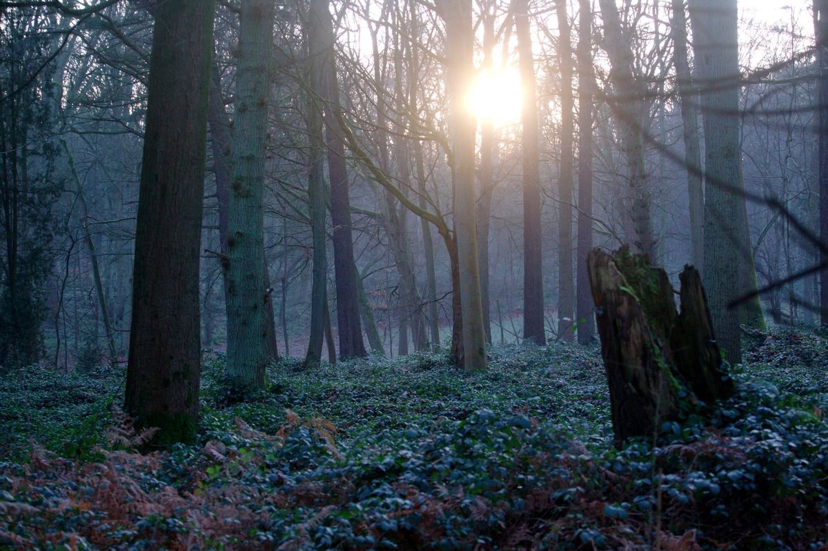 The Open Conspiracy: out there to be discovered