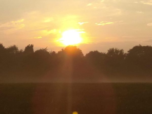 The idea of the open conspiracy