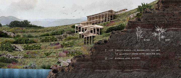 Carbon Cultures
