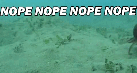 NOPE NOPE NOPE NOPE