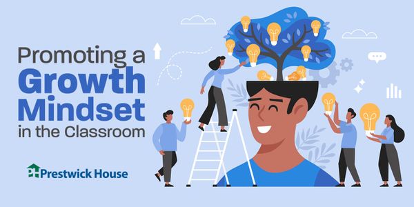 Promoting a Growth Mindset in the Classroom