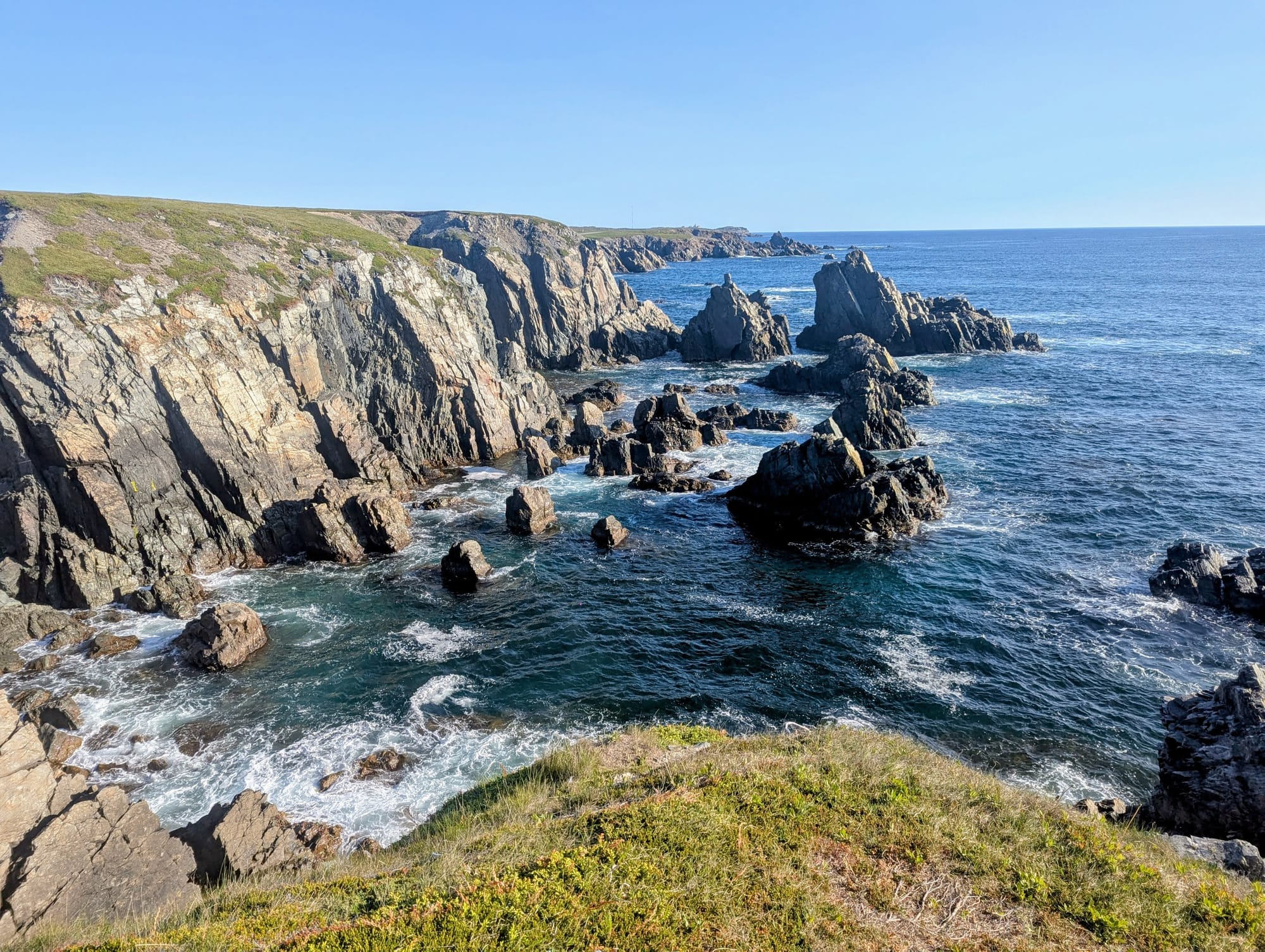 Redesign Work with Fred Cho