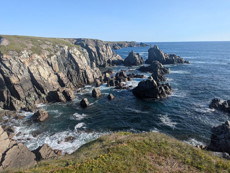 Travel Optometrist's Snippets of Newfoundland