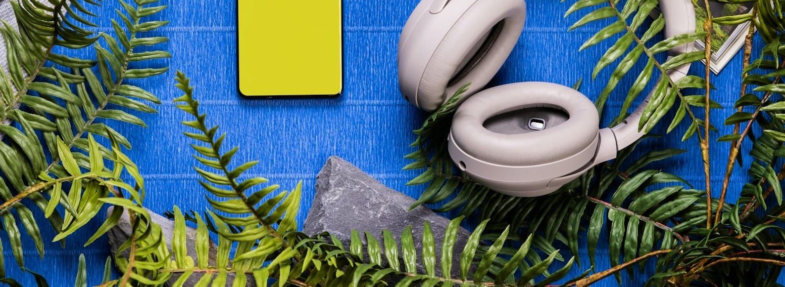 The wilderness period in tech