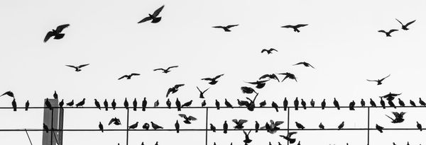 Migration from IBM StreamSets to AWS for ELT