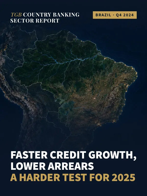Brazil Banking Sector Report — Q4 2024