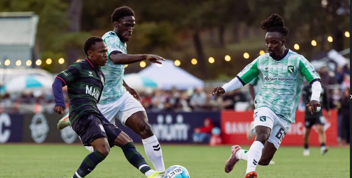 Starch Madness Spells Hearts' Sadness Post feature image