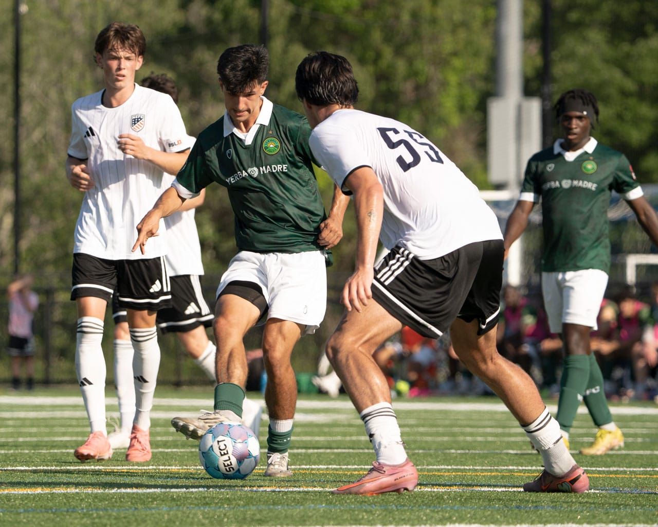 Vermont Northeast Division Hopes Stay Alive With 4-0 Win Post feature image