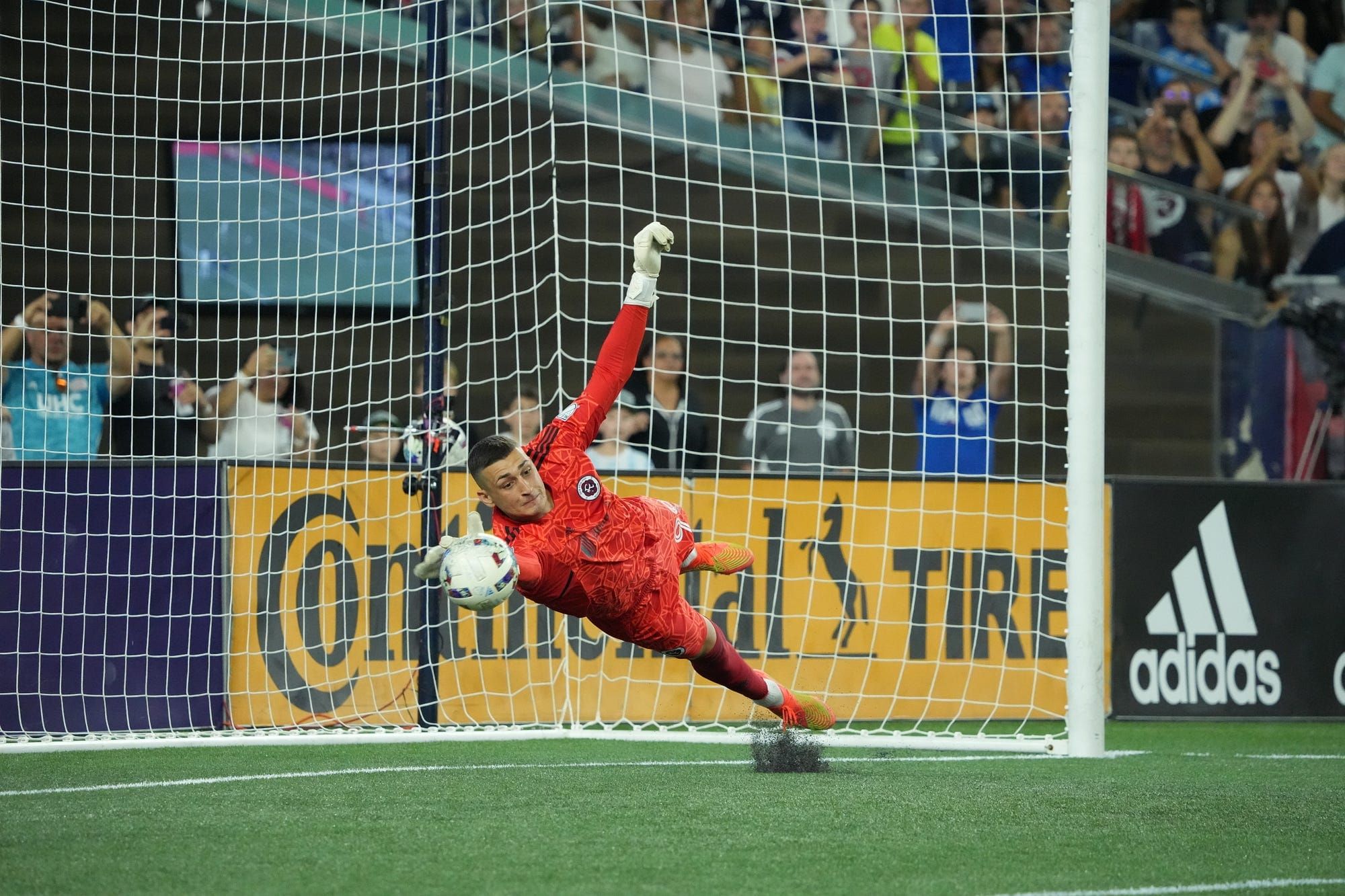 Source: Petrovic Drawing Plenty of Interest, No Formal Offers Yet Post image