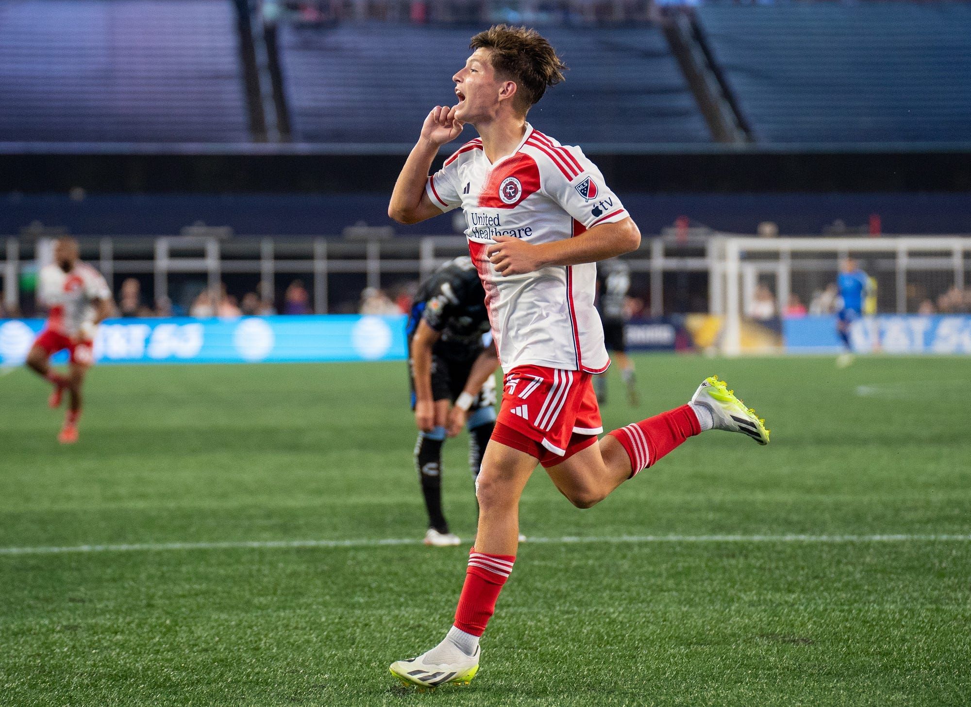 Bajraktarevic Explains Decision To Represent Bosnia and Herzegovina Post image