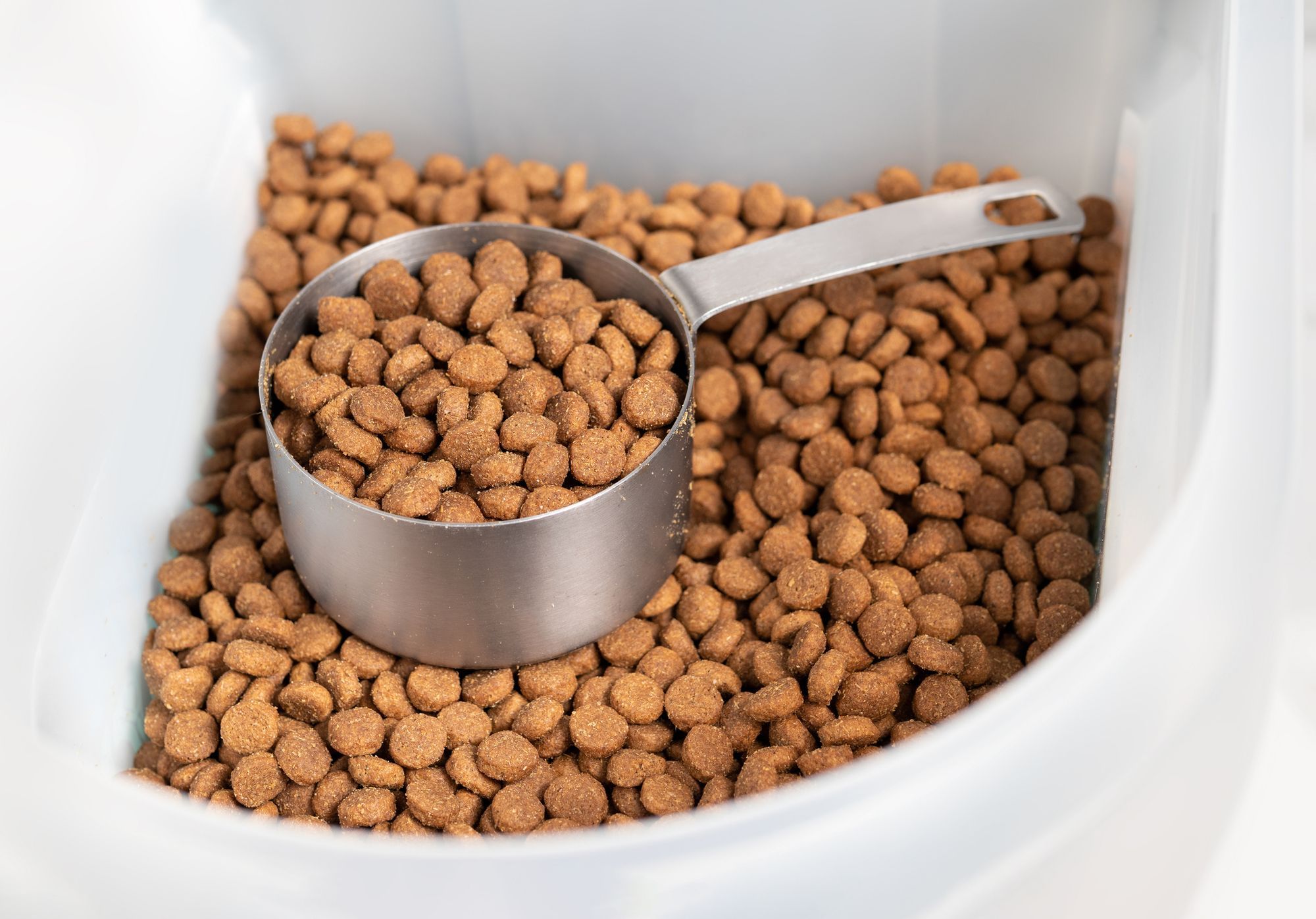 Best Dog Food Storage Container